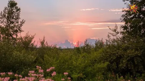 Compelling Reasons to Cultivate a Profound Connection with Nature