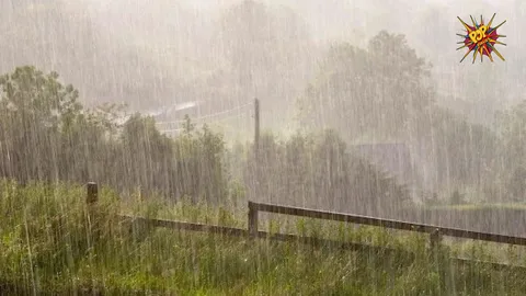 Gujarat's Weather Woes: 29 Fatalities and Heavy Rainfall Predicted