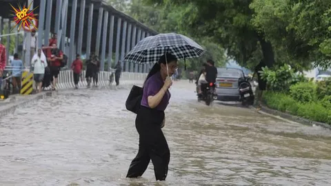 DELHI RED ALERT:  Schools closed, 5 dead, roads submerged