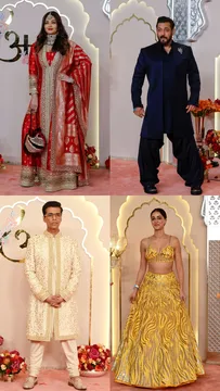 Celebs who Walked the Red Carpet Alone at the Ambani Wedding