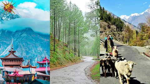 The Irresistible Charm of Himachal: It's Forests & Alpine Beauty