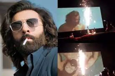 Viral Video: Fans Bursts Firecrackers Inside The Theater during 'Animal' Screening