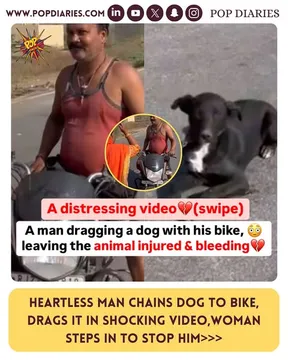 Man chains the dog to bike and drags it on the road, Visuals captured in shocking video!