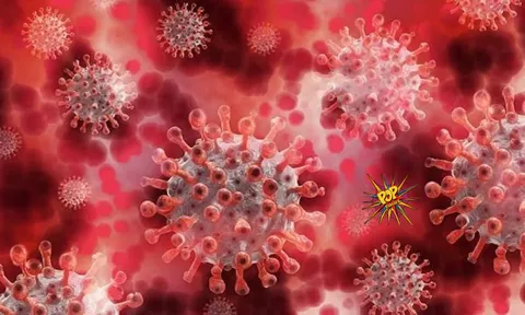 NOT The End: WHO Confirms New Covid Variant Names it ‘Omicron,’ All You Need to Know: