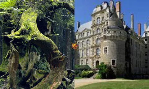 'These' Are The Five Most Haunted Places In The World Including One In India; Must Check!￼