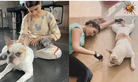 Samantha gives reply to rumours of her affair and abortion, know more: