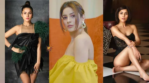 HBD Shehnaaz Gill: From Punjab Ki Katrina To India Ki Bubbly, Beautiful Shehnaaz! Know The Best Moments Of Her Journey An Inspiration: