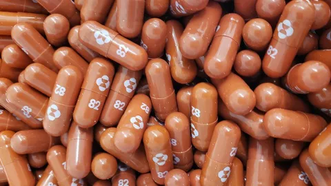 Pfizer Introduces Paxlovid, another Pill to treat and slash Covid-19; All you need to know: