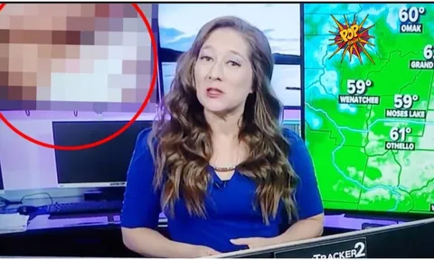 Viral Video: This News Channel Airs Porn Clip During Weather Report in US:
