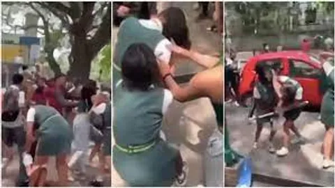 Viral Videos: Bengaluru Girl Fight To Ratan Tata Solo Drive, Here's What Has Netizens Going Crazy Over The Net, Today!