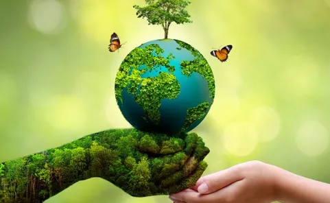 World Environment Day 2023: हर साल 5 जून को क्यों मनाया जाता विश्व पर्यावरण  दिवस... यहां जानें इतिहास और इस साल की थीम - Amrit Vichar