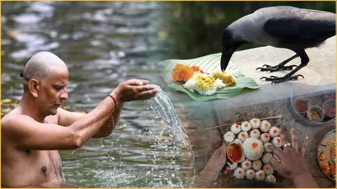 Pitru Paksha 2024: श्राद्ध का खाना घर पर नहीं बना पा रहे हैं तो क्या करें?  - Pitru Paksha 2024 date shradh bhoj niyam fast food ancestors puja rules  astrology news