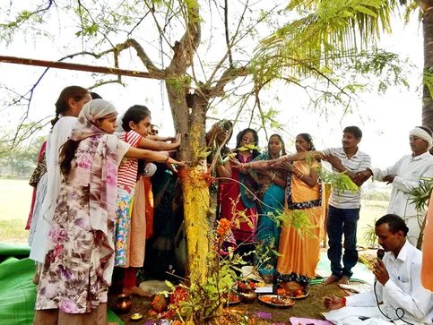 Amla Navami today: Amla tree will be worshiped for eternal virtue, in  Puranas Shivji described this tree as the form of Lord Vishnu. | आंवला नवमी  आज: अक्षय पुण्य के लिए होगी