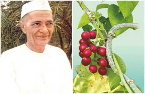 एक वैद्य ने खड़ी की सैकड़ों करोड़ की बैद्यनाथ आयुर्वेद कंपनी, कोरोना काल  में बढ़ी गिलोय, च्यवनप्राश जैसे उत्पादों की मांग | Jansatta