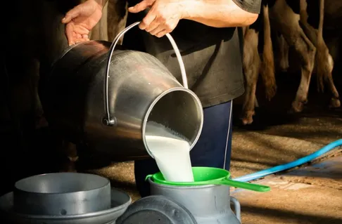 milk price What are the rates in China Pakistan Bangladesh Nepal | Milk  Price: भारत में 50 रुपए लीटर मिलता है दूध... क्या आपको पता है पाकिस्तान,  बांग्लादेश, नेपाल और चीन में