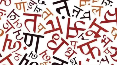 हिंदी राष्ट्रभाषा है या नहीं? जानिए राष्ट्रभाषा-राजभाषा और मातृभाषा में  क्या है अंतर - Is Hindi our National Language What does Indian Constitution  Say About Language Kiccha Sudeep ...