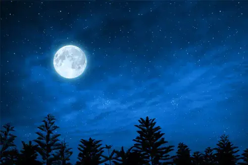 मार्गशीर्ष पूर्णिमा 2025: जानिए तिथि, कहानी और महत्व | MyPandit