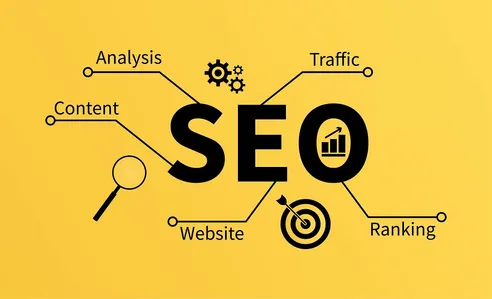 Seo In Digital Marketing : Types Of Seo And Its Benefits-safalta - Amar  Ujala Hindi News Live - Digital Marketing :seo क्या होता है, ये कितने  प्रकार से किया जाता है, इससे