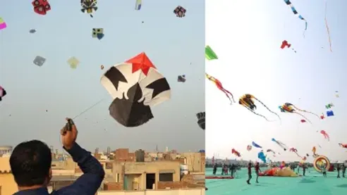 International Kite Festival 2024: आखिर मकर संक्राति पर क्यों उड़ाते हैं पतंग?  जानें इससे जुड़ी दिलचस्प जानकारी - India TV Hindi