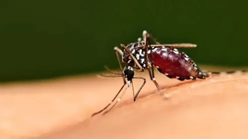 World Mosquito Day: 2025 – August 20 - Sanskriti IAS