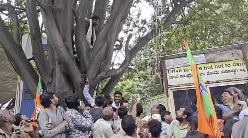 man on tree