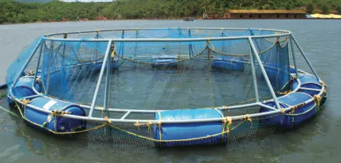Fisheries :: Home