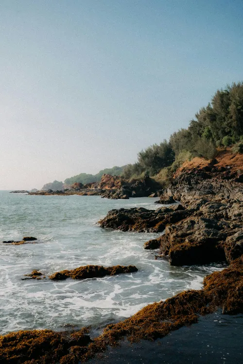 pexels-omaid-andrabi-151117364-19993280