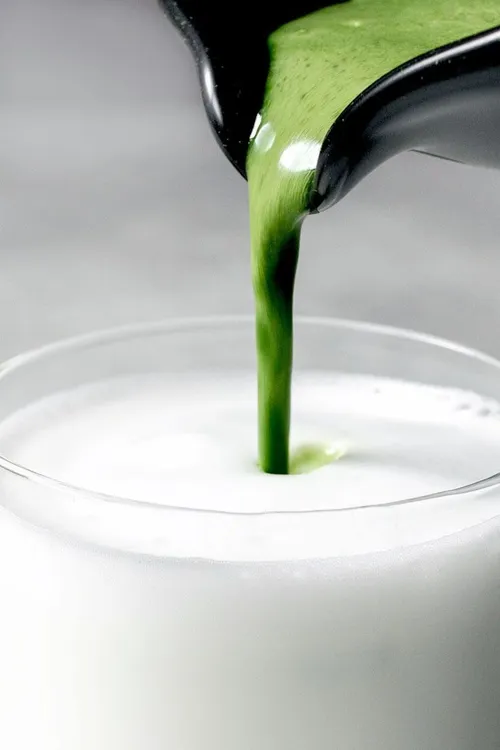 Matcha Green Tea Latte