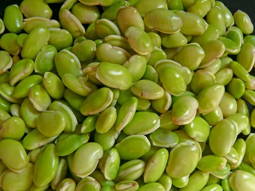 GettyImages-1636080062