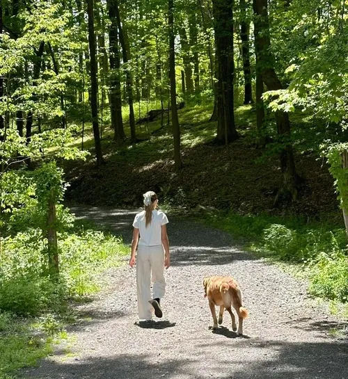 spring hike in a flower forest 🪻