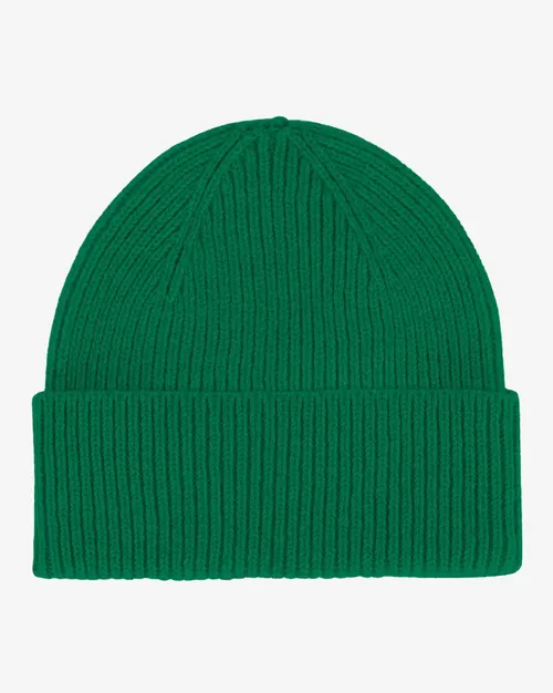 1761662313-CS5081_Female_MerinoWoolBeanie-KellyGreen_2_9aaf83ee-c1dc-4b30-aee9-b6ce0975ef34 (1)