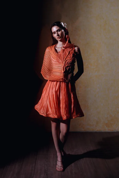 vaishali-s1170 (1) (1)