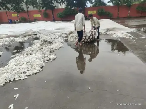 mp rain