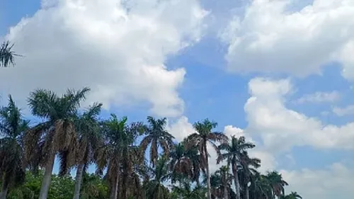 Preparations For Departure Of Monsoon In Chhattisgarh, Light Rain Expected  In Next Few Days, - Amar Ujala Hindi News Live - Weather:छत्तीसगढ़ में  मानसून की विदाई की तैयारी, अगले कुछ दिन हल्की