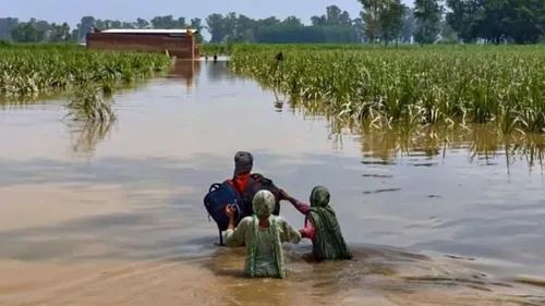 पंजाब में बाढ़ पर बड़ा अपडेट : 2000 से ज्यादा गांव डूबे, 1.76 लाख हेक्टेयर  में फसलें हुई बर्बाद, जानें सब कुछ - Big Update On Flood In Punjab: More  Than 2000