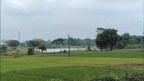 WhatsApp Image 2025-10-28 at 2.38.19 PM