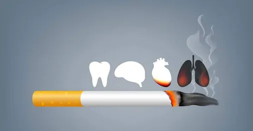 World No-Tobacco Day 2024: 31 को क्यों मनाया जाता है ये दिवस