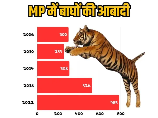 Tiger population in MP 