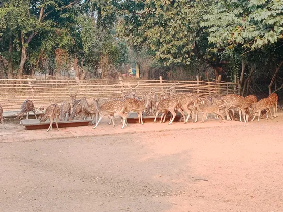 WhatsApp Image 2025-04-25 at 12.51.12