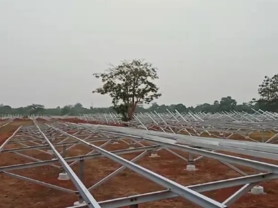 jangle mahal industry .jpg