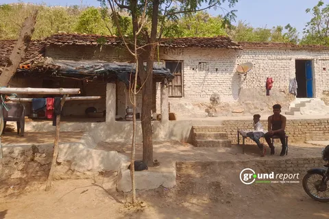 Snake bite death in india