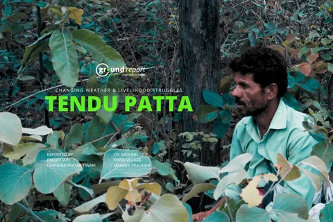 TENDU PATTA