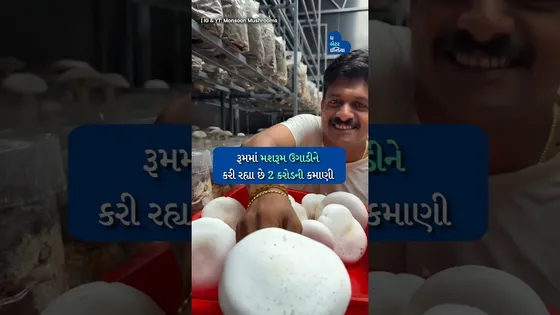 રૂમમાં મશરૂમ ઉગાડવાથી લઈને 2 કરોડની કમાણી સુધી | Mashrooms Farming in Room | Kerala | Indoor