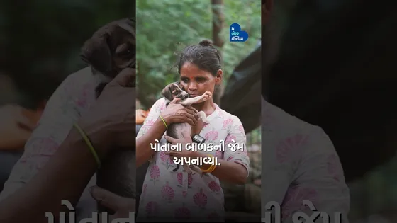 ઝુંપડીમાં રહીને, ભીખ માંગીને, સુધારી રહી છે અબોલોનું જીવન | #AnimalLove #MotherOf80dogs #Inspiring