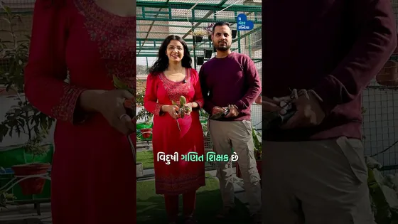 કોથમીરથી લઈને ચણા સુધી બધું જ પોતાના ટેરેસ પર ઉગાડે છે આ કપલ | Organic Terrace