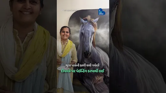 ઘરની દીવાલો પર પેઇન્ટિંગ કરવાથી લઈ World Record બનાવવા સુધી | Nayana Katrodiya| Female Painter