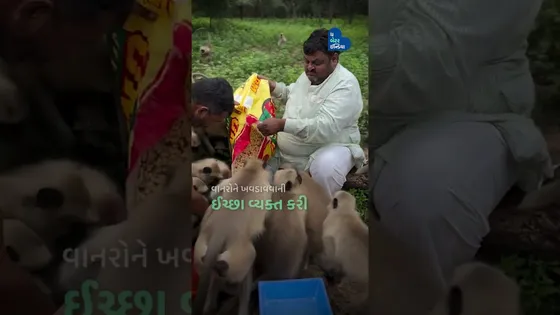 દરરોજ 3000 રોટલી કપિરાજોને ખવડાવે છે આ Monkey Man | Animal Lover| Kindness| Ahmedabad