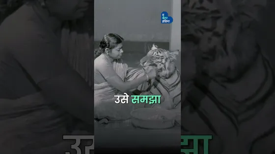 एक बाघिन और एक परिवार की अनकही प्रेम कहानी | Wild Love | Valentine’s Day | Khairi Tiger