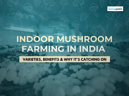 Indoor Mushroom Farming