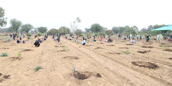 Tree Plantation in Madhya Pradesh State – Grow Billion Trees